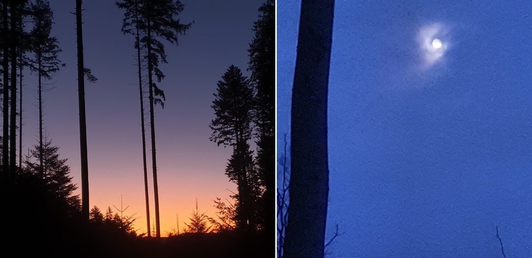 Vollmond
